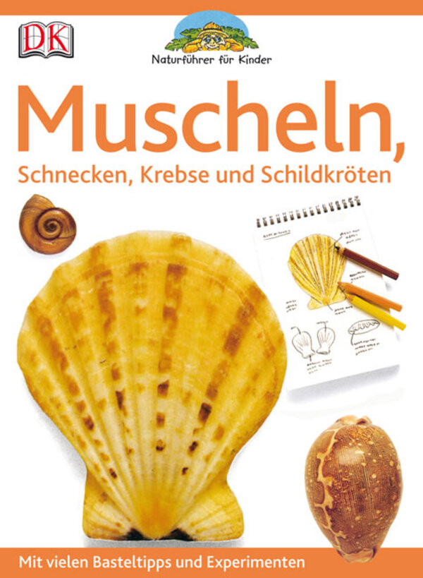 Muscheln