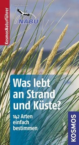 Was lebt an Strand und Küste?