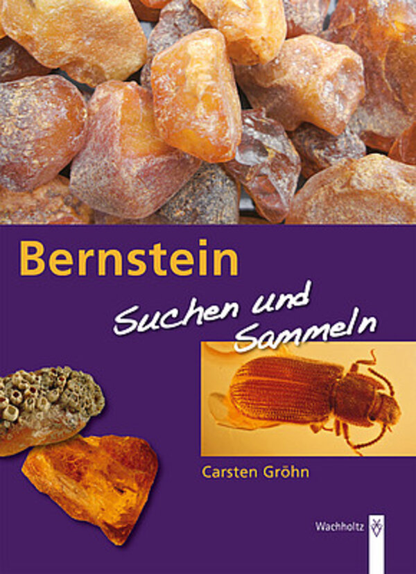 Bernstein suchen und sammeln